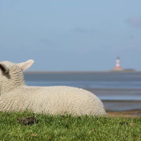 54 Grad Nord Sankt Peter-Ording